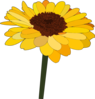 Single Sunflower Clip Art